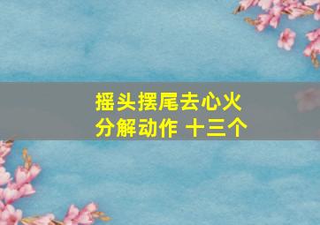 摇头摆尾去心火 分解动作 十三个